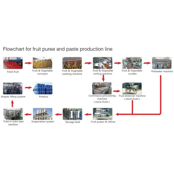 Safety Berry Processing Equipment Water Saving Automatic PLC Controlled