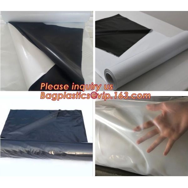 Outdoor Bubble Solar Pool Cover Swimming Pool Winter Polycarbonate Solar Swimming