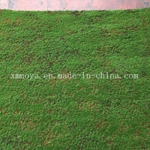 Cheap Plastic Green Carpet Moss for Eco-Friendly Wall Decoration Lifespan Within 5-10 Years for sale