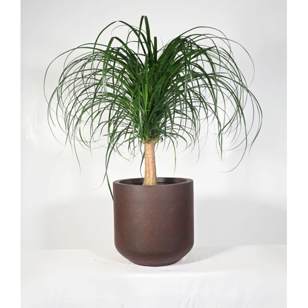Customed Fiber Clay Planter