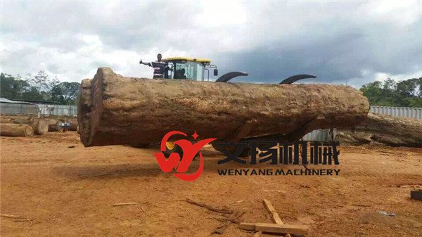 Wenyang machinery WY978J 12Ton wheel loader with log grapple suitable for big diameter wood log