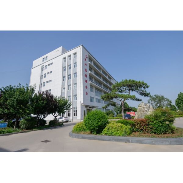 Healthy 100% Pure Natural Crispy Fried Shallot