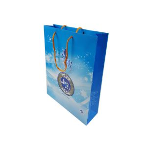 Cheap Blue Color Printing Customized Size Custom Design Logo Printing Cardboard Material Paper Bags with Handle for sale