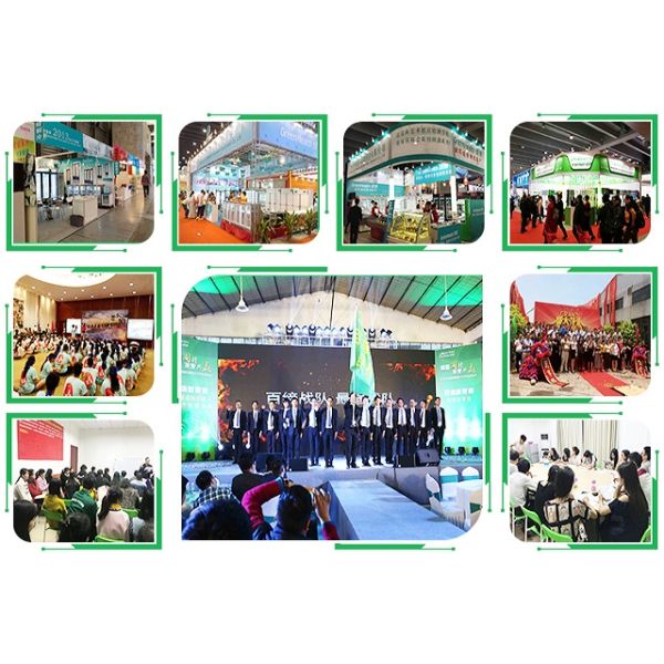 Stainless Steel -22°C Upright Commercial Display Freezer With 3 Doors