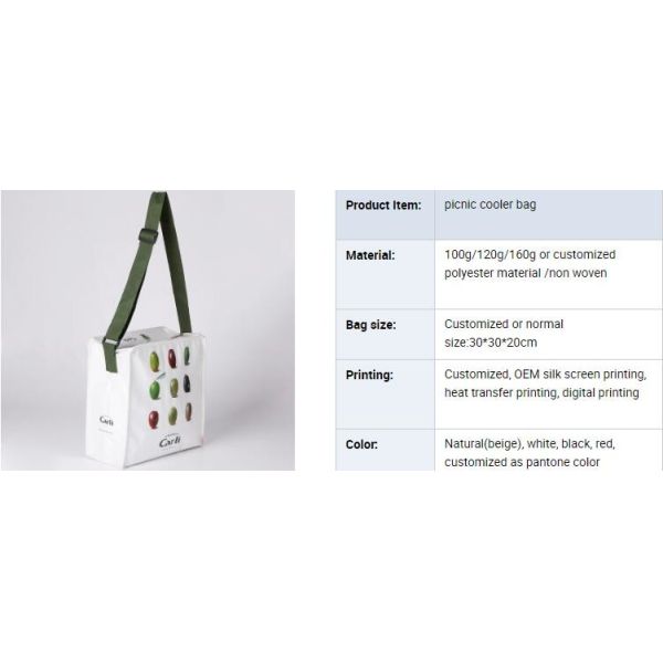 Chinese Factory customized PP non woven bag, Printed Cotton Casual Tote Canvas Non Woven Bag, Cheap price popular sale r