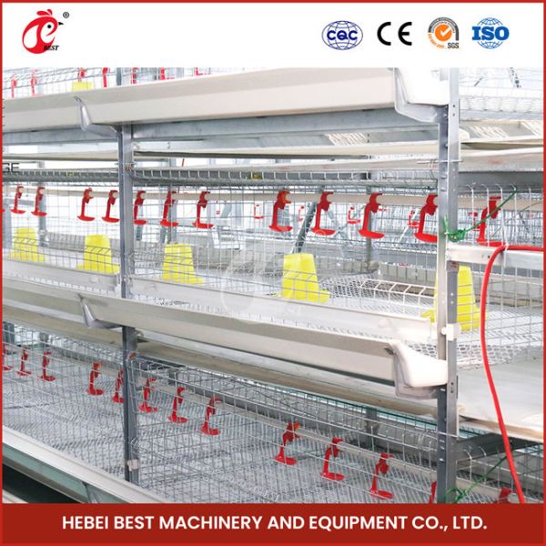 Full Automatic System Pullet Cage With Hot Deep Galvanization H Type Shape Emily