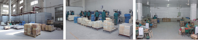 High Temperature Silicon Nitride Ceramics Ring