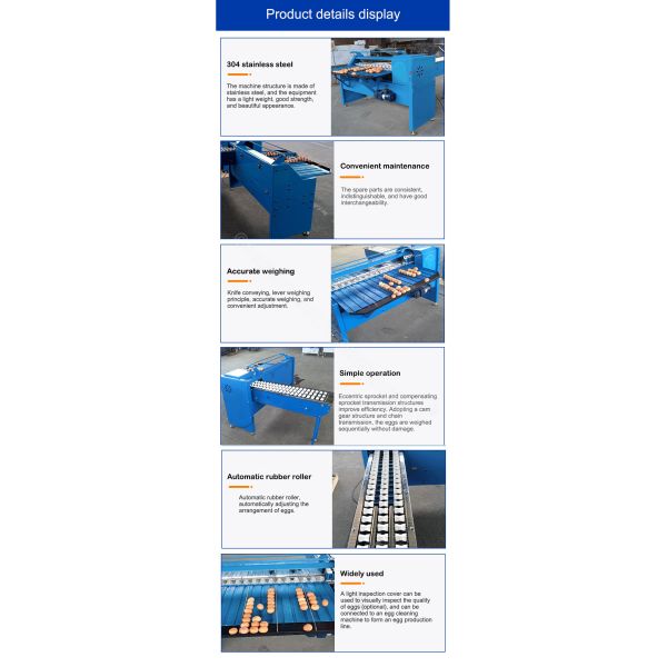 4000pcs/H Chicken Egg Sorter Machine 200w Automatic Egg Grading Machine By Weight