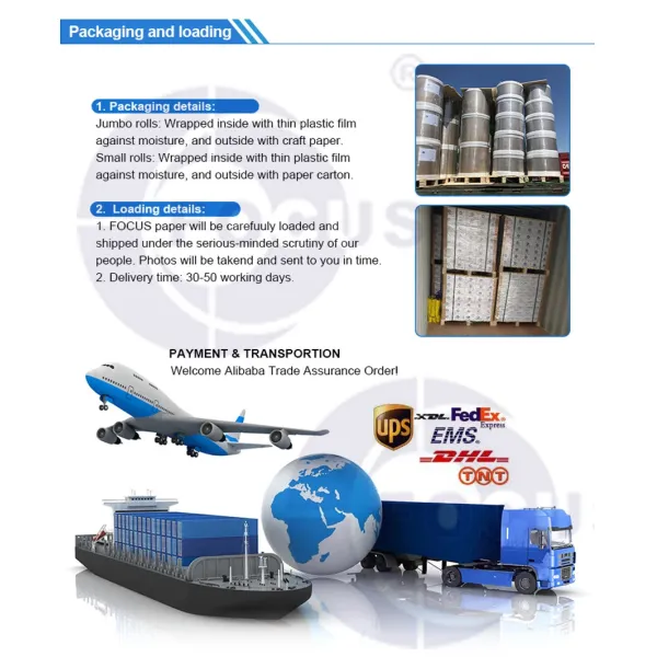 Thermal Label Eco Thermal Shipping Labeling Jumbo Roll 70GSM 75GSM