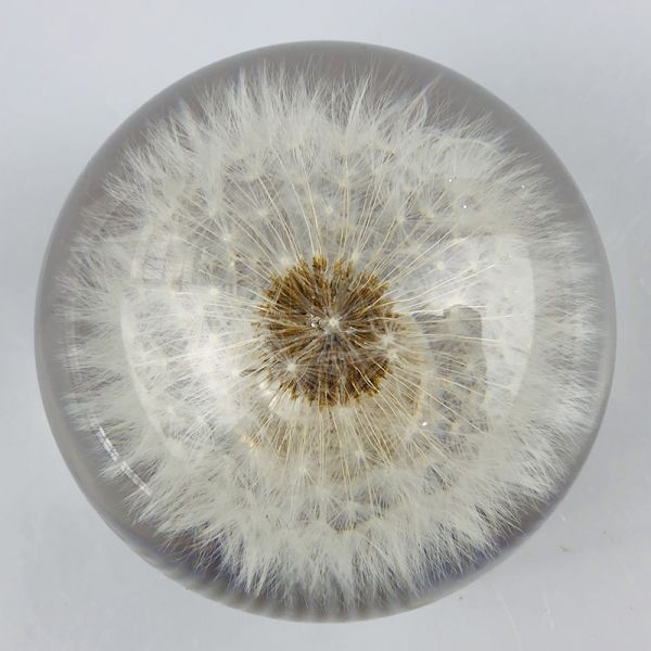 70mm Crystal Resin Shift Knob Real Flowers Dandelion Shift Knob