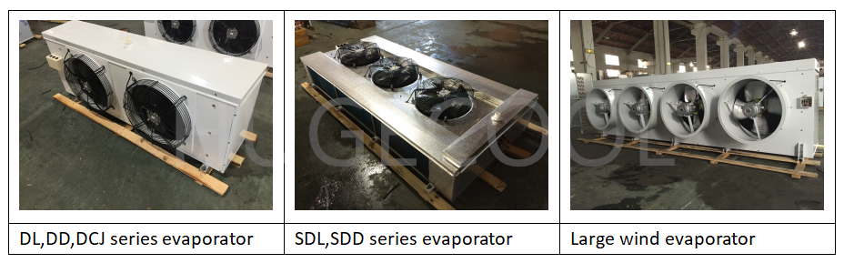 Cold Room Freezer cold room for fish