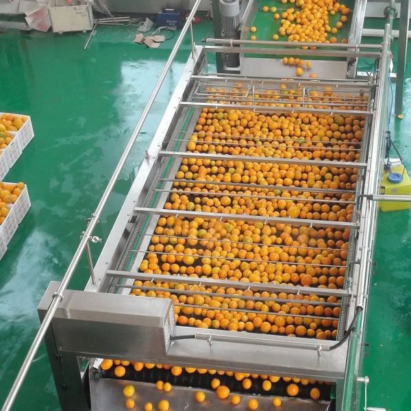 All Automatic Customizable Orange Juice Machine New Juice Processing Machine Complete Fruit Processing Machine Tangerine Pulp