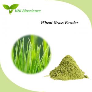 China Food Plant Herbal Extract Anti Aging Barley Grass Extract Powder on sale