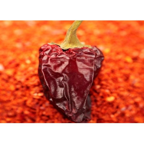 10-15cm Grade A Red Jinta Chilli Pepper 50BLS Bags Packaged