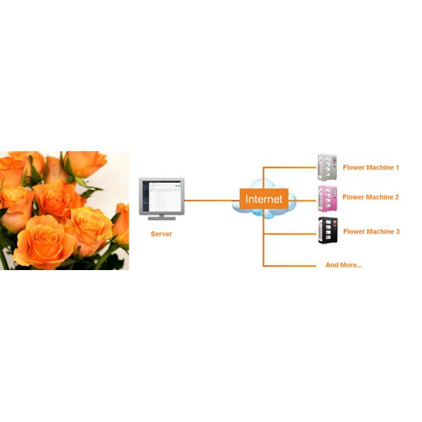 Online Shopping Flower Vending Machine Pickup Remote Control Locker