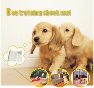 China Safe Low Voltage Battery Operated Pet Training Mat Dog Training Pads Mats on sale