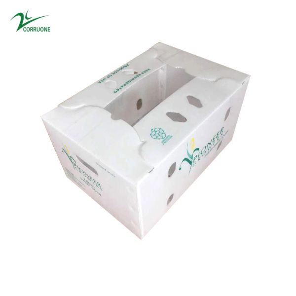 Fruit Corrugated Boxes Customizable and Sustainable Packaging Solution