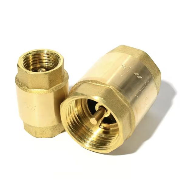 Brass Spring Check Valve 1/2 inch Check Valve Brass Male Thread Check Valve Connector Tool Vertical Check Valve