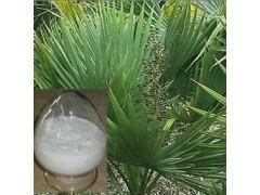 China Herb medecine Saw Palmetto Extract Fatty acid 45% on sale