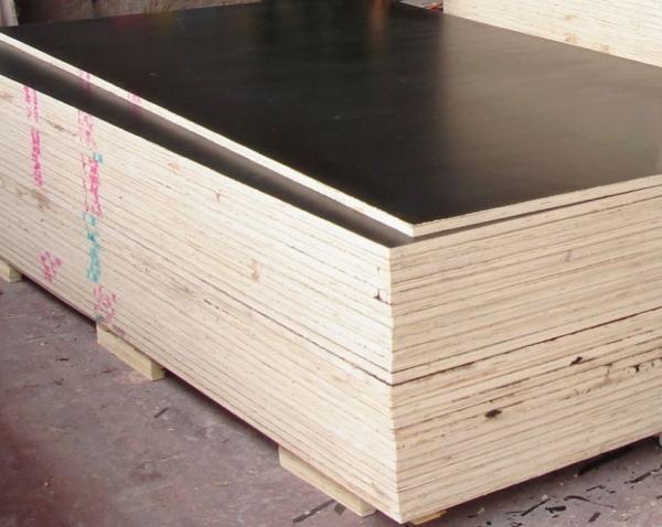 Quality cheap price birch lowes 18mm marine plywood for concrete formwork laminated film faced plywood wholesale