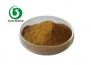 Cheap Pharmaceutical Natural 20/1 Schisandra Chinensis Extract Powder for sale