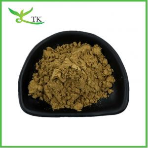 Cheap 100% Natural 100:1 200:1 Eurycoma Longifolia Extract Powder Tongkat Ali Root Extract for sale