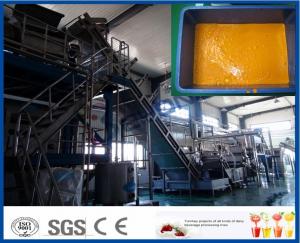 Cheap 380v 50hz Dairy Processing Plant 15kw Power Sea - Buckthorn Juice Production Line for sale