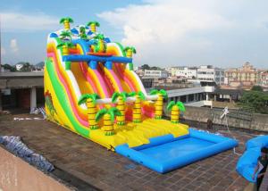 China Jungle Inflatable Water Slide With Pool , Commercial Inflatable Water Slide For Playground on sale