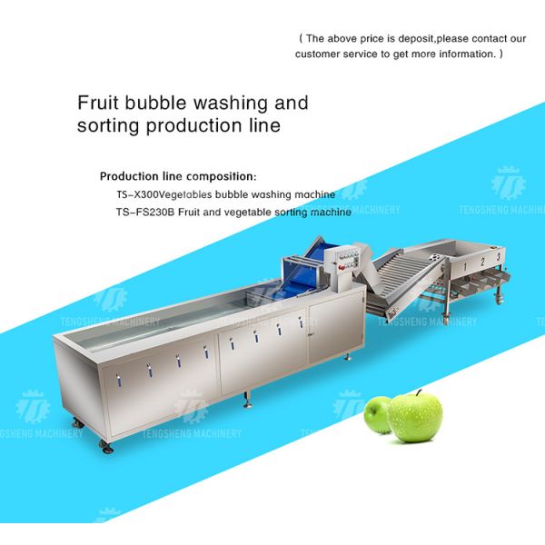 3KW 50HZ Fruit And Vegetable Processing Line Washing Sorting Machine