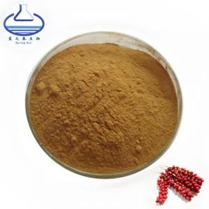 Cheap Herbal Schisandra Extract Powder Schisandrae Chinensis Extract for sale
