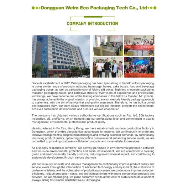 Bespoke Disposable Bulk Pizza Boxes Food Packaging Eco Friendly