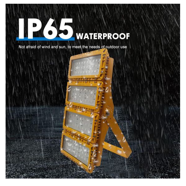 ATEX Rated Explosion Proof Emergency Light Class 1 Div 2 Lighting