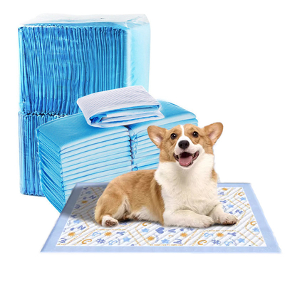 Deodorizing And Antibacterial Fast Absorption Pet Pad