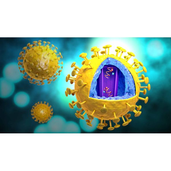 3Min HIV Rapid Test Kit