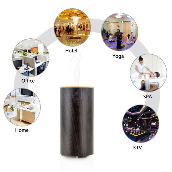 FCC Car Mist Diffuser