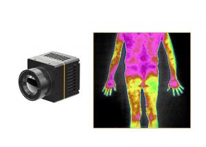 Cheap Infrared Thermal Camera Module Specially Developed For Medical Diagnosis for sale