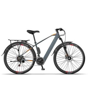 Commuter Electric City Bicycle Motor 200w Electric City Ebike 29 Inch