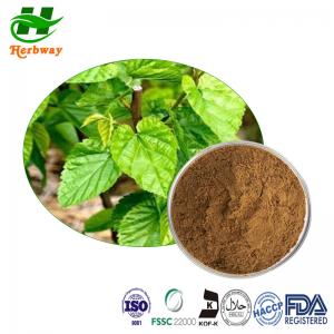 Cheap Mulberry Leaves Extract 1% 5% 15% 1-Dnj White Mulberry Bark Extract Morus Alba Extract CAS No.: 19130-96-2 for sale