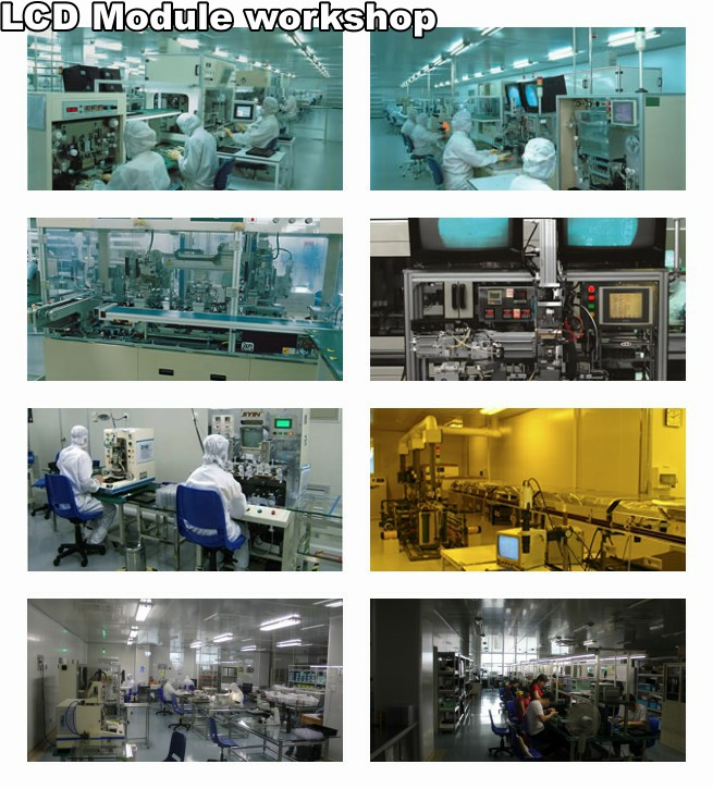 Small Size Monochrome 7 Segment Display Panel For POS Machine