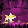 Buy cheap SMX Pepperscrim Holographic Mesh Screen for Stage Performances and Presentations from wholesalers